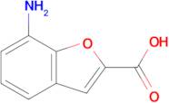 7-Aminobenzofuran-2-carboxylic acid