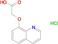 2-(Quinolin-8-yloxy)acetic acid hydrochloride