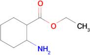 Ethyl 2-aminocyclohexanecarboxylate
