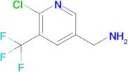 (6-Chloro-5-(trifluoromethyl)pyridin-3-yl)methanamine