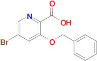 3-(Benzyloxy)-5-bromopicolinic acid