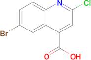 6-Bromo-2-chloroquinoline-4-carboxylic acid