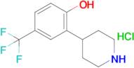 2-(Piperidin-4-yl)-4-(trifluoromethyl)phenol hydrochloride