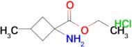 Ethyl 1-amino-3-methylcyclobutane-1-carboxylate hydrochloride