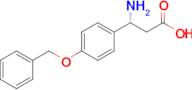 (R)-3-Amino-3-(4-(benzyloxy)phenyl)propanoic acid