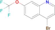 4-Bromo-7-(trifluoromethoxy)quinoline