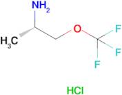 (S)-1-(Trifluoromethoxy)propan-2-amine hydrochloride