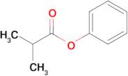Isobutyric acid phenyl ester