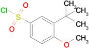 3-tert-Butyl-4-methoxy-benzenesulfonyl chloride