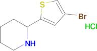 2-(4-Bromothiophen-2-yl)piperidine hydrochloride