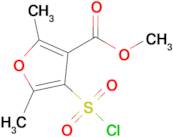 Methyl 4-(chlorosulfonyl)-2,5-dimethyl-3-furoate