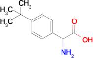 Amino(4-tert-butylphenyl)acetic acid