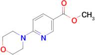 Methyl 6-morpholinonicotinate