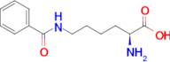 N6-Benzoyl-L-lysine