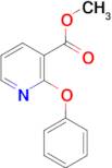 Methyl 2-phenoxynicotinate