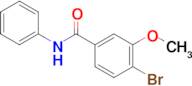 N-Phenyl 4-bromo-3-methoxybenzamide