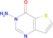 3-Amino-3,4-dihydrothieno[3,2-d]pyrimidin-4-one