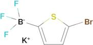 Potassium (5-bromothiophen-2-yl)trifluoroboranuide