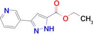 ethyl 3-(pyridin-3-yl)-1H-pyrazole-5-carboxylate