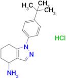 1-(4-tert-Butylphenyl)-4,5,6,7-tetrahydro-1H-indazol-4-amine hydrochloride