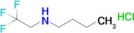 N-(2,2,2-Trifluoroethyl)butan-1-amine hydrochloride