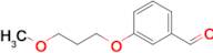 3-(3-Methoxypropoxy)benzaldehyde