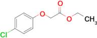 Ethyl 2-(4-chlorophenoxy)acetate