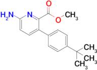 Methyl 6-amino-3-[4-(1,1-dimethylethyl)phenyl]-2-pyridinecarboxylate