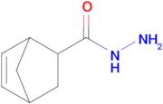 Bicyclo[2.2.1]hept-5-ene-2-carbohydrazide