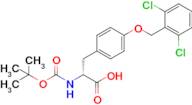 O-[(2,6-Dichlorophenyl)methyl]-N-[(1,1-dimethylethoxy)carbonyl]-D-tyrosine