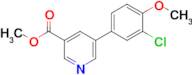 Methyl 5-(3-chloro-4-methoxyphenyl)pyridine-3-carboxylate