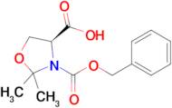 (S)-3-((Benzyloxy)carbonyl)-2,2-dimethyloxazolidine-4-carboxylic acid
