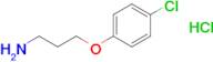 3-(4-Chlorophenoxy)propan-1-amine, HCl