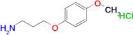 3-(4-Methoxyphenoxy)propan-1-amine, HCl