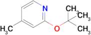 2-tert-Butoxy-4-picoline