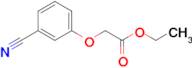 (3-Cyanophenoxy) acetic acid ethyl ester