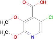 5-Chloro-2,3-dimethoxyisonicotinic acid