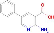 2-Amino-5-phenylnicotinic acid