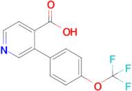 3-(4-Trifluoromethoxyphenyl)Isonicotinic acid