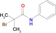 2-Bromo-2-methyl-N-phenylpropanamide