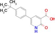 5-(4-tert-butylphenyl)-2-oxo-1,2-dihydropyridine-3-carboxylic acid