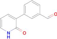 3-(2-oxo-1,2-dihydropyridin-3-yl)benzaldehyde