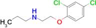 [2-(2,4-dichlorophenoxy)ethyl](propyl)amine