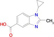 1-Cyclopropyl-2-methyl-1,3-benzodiazole-5-carboxylic acid
