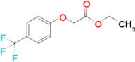 Ethyl 2-[4-(trifluoromethyl)phenoxy]acetate