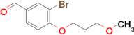 3-Bromo-4-(3-methoxypropoxy)benzaldehyde