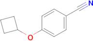 4-Cyclobutoxybenzonitrile