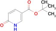 tert-butyl 6-oxo-1,6-dihydropyridine-3-carboxylate