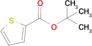 tert-butyl thiophene-2-carboxylate