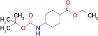 Ethyl 4-[[(1,1-dimethylethoxy)carbonyl]amino]cyclohexanecarboxylate